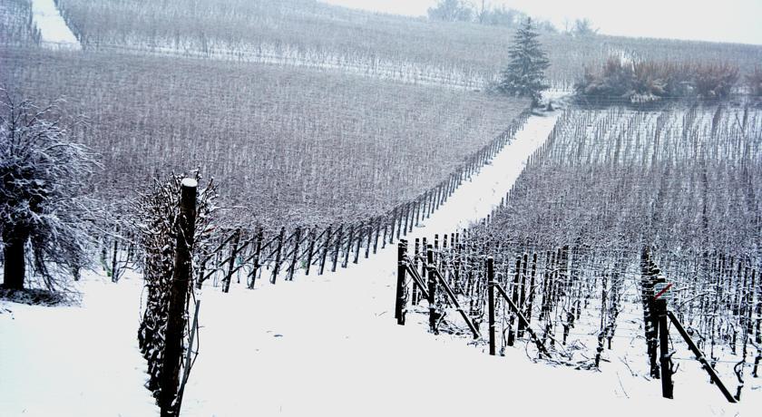 Cascina Arcangelo Raffaele Verduno Екстериор снимка