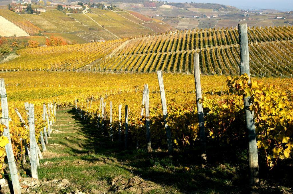 Cascina Arcangelo Raffaele Verduno Екстериор снимка