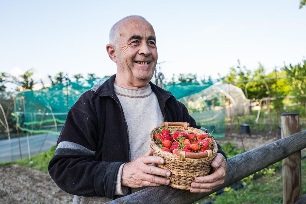 Cascina Arcangelo Raffaele Verduno Екстериор снимка